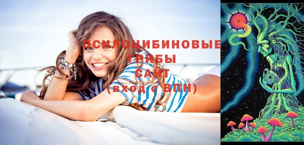 бошки Алексеевка
