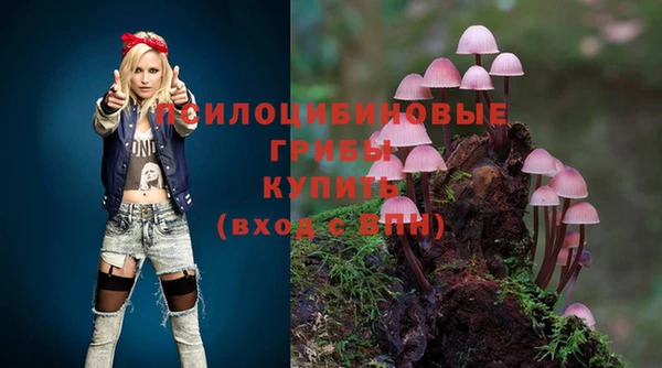 а пвп мука Алексин