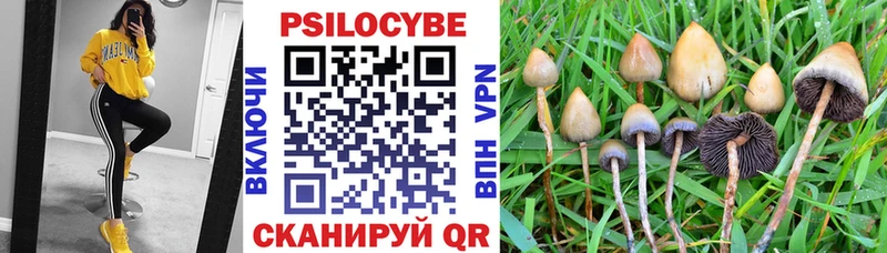 Псилоцибиновые грибы Psilocybe Бодайбо